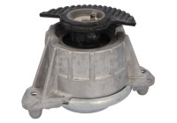 Axle body/engine support bearing