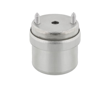 Axle body/engine support bearing