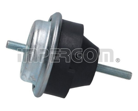 Axle body/engine support bearing