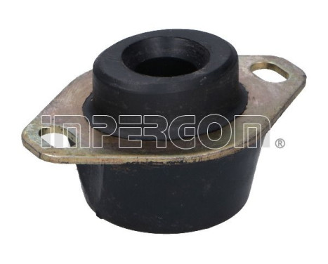 Axle body/engine support bearing