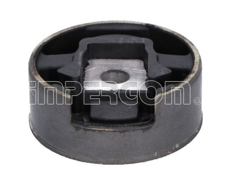 Axle body/motor support bearing