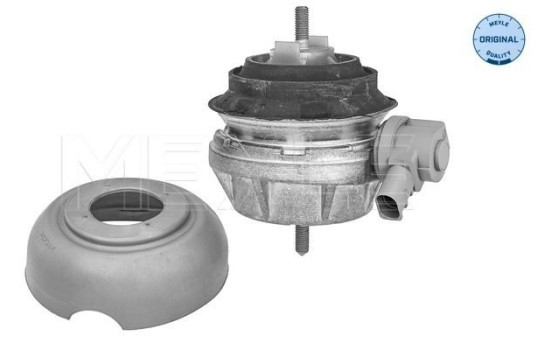 Engine Montage MEYLE-ORIGINAL: True to OE. 100 199 3171