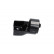 Engine Mounting EEM-5555 Kavo parts, Thumbnail 5