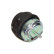 Engine Mounting