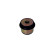 Engine Mounting