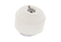 Engine Mounting
