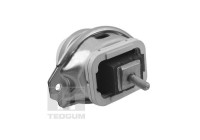 Engine Mounting