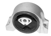 Shaft body/motor mount bearing