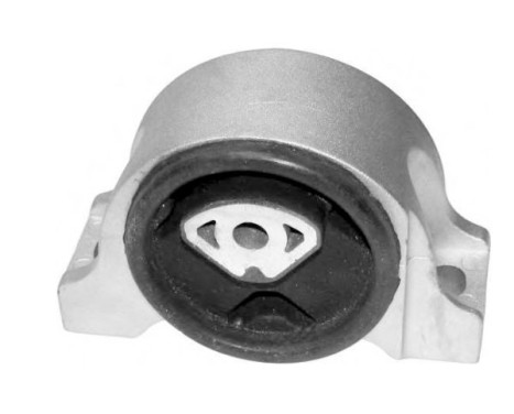 Shaft body/motor mount bearing