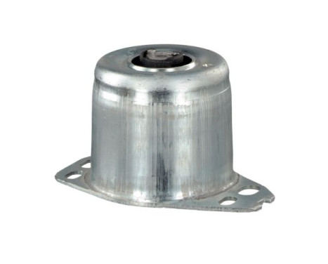 Shaft body/motor mount bearing