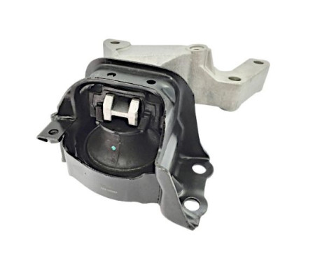 Shaft body/motor mount bearing