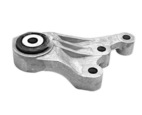 Shaft body/motor mount bearing