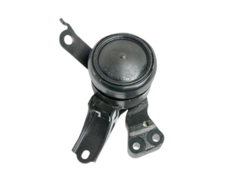 Shaft body/motor mount bearing