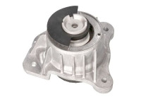 Shaft body/motor mount bearing