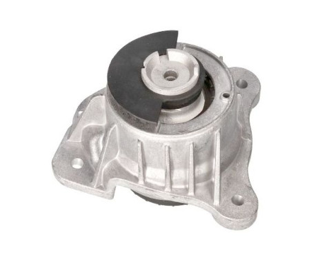 Shaft body/motor mount bearing