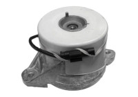 Shaft body/motor mount bearing