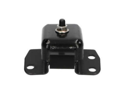 Shaft body/motor mount bearing