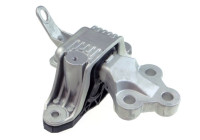 Shaft body/motor mount bearing