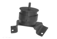 Shaft body/motor mount bearing