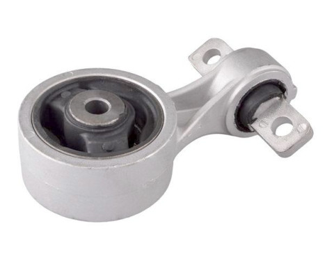 Shaft body/motor mount bearing
