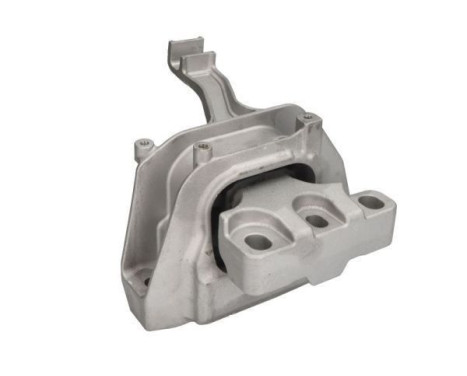 Shaft body/motor mount bearing