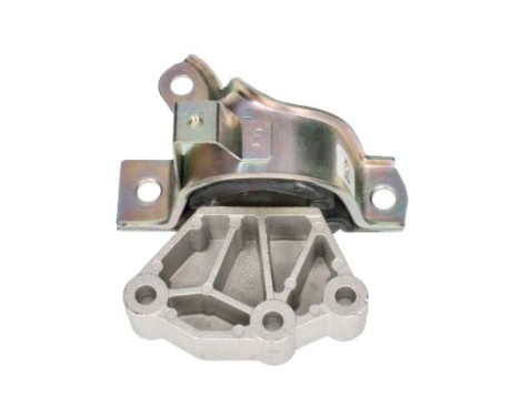 Shaft body/motor mount bearing