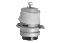Shaft body/motor mount bearing