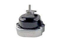 Shaft body/motor mount bearing