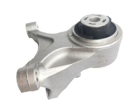 Shaft body/motor mount bearing