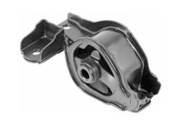 Shaft body/motor mount bearing