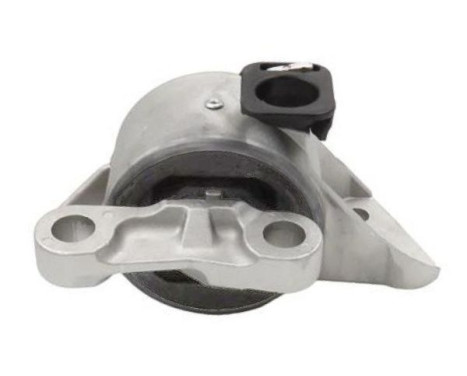 Shaft body/motor mount bearing