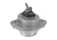 Shaft body/motor mount bearing
