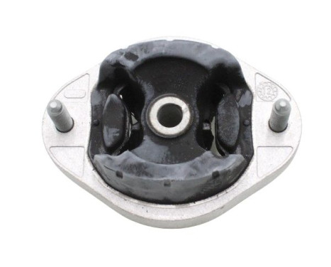 Shaft body/motor mount bearing