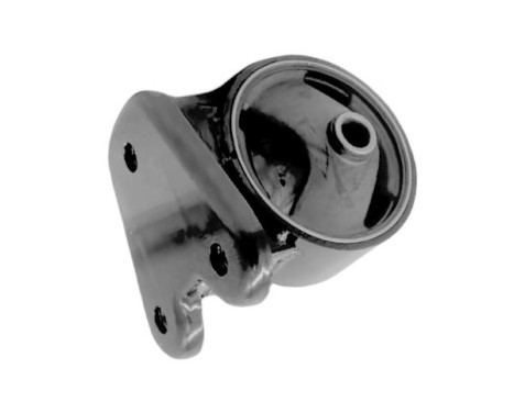 Shaft body/motor mount bearing