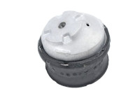 Shaft body/motor mount bearing