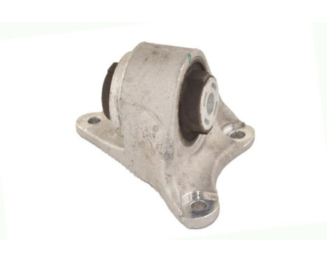 Shaft body/motor mount bearing