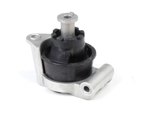 Shaft body/motor mount bearing