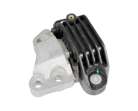 Shaft body/motor mount bearing