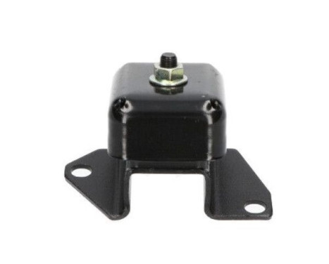 Shaft body/motor mount bearing