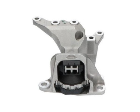 Shaft body/motor mount bearing