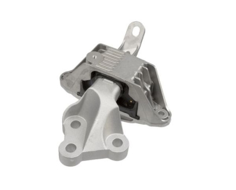 Shaft body/motor mount bearing