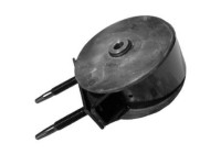 Shaft body/motor mount bearing