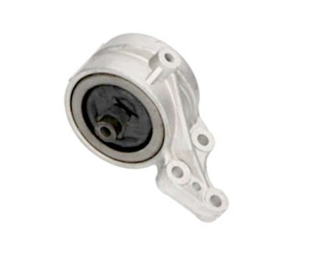 Shaft body/motor mount bearing
