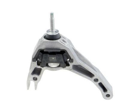 Shaft body/motor mount bearing