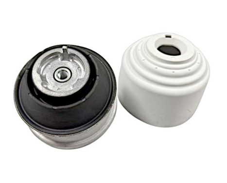 Shaft body/motor mount bearing