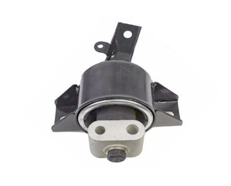 Shaft body/motor mount bearing