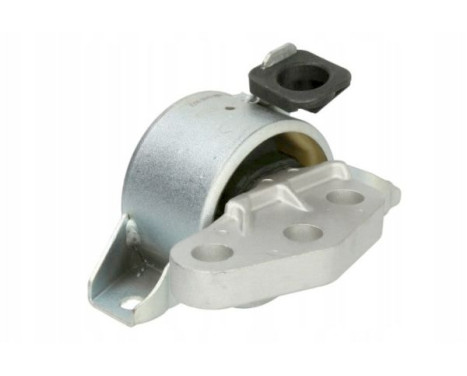 Shaft body/motor mount bearing