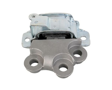 Shaft body/motor mount bearing