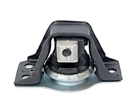 Shaft body/motor mount bearing