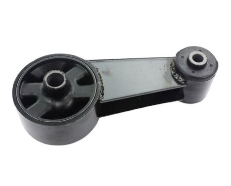 Shaft body/motor mount bearing